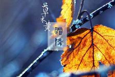 2017年10月23日 霜降已至须戒寒