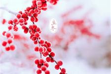 17年什么时候立冬