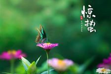 二十四节气之惊蛰是什么意思
