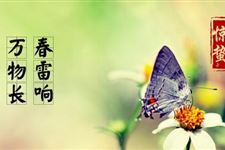 惊蛰为什么要吃梨?