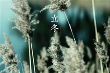 2017立冬祝福短语 冬天的问候祝福语