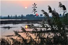 立冬节气 立冬详解