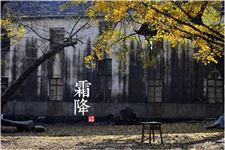 霜降节气 霜降详解