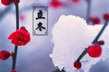 立冬前一个节气是什么 立冬是第几个节气