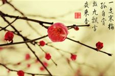 数九天饮食推荐 2018数九天吃什么好