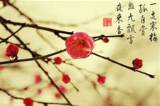 2017年12月几号数九 2017年数九时间