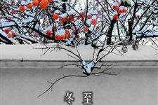冬至有四宝,你还少哪个