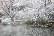 冬至扫墓习俗特点
