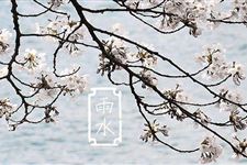 描述雨水节气的谚语