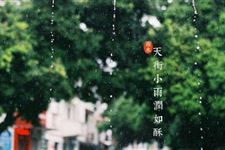 雨水节气的意义