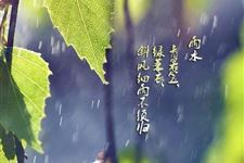 二十四节气之雨水的由来与含义