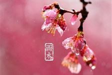 雨水的含义是什么