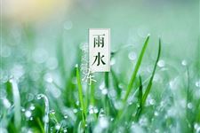 2018年雨水是几月几号