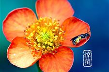 2018年惊蛰是哪一天