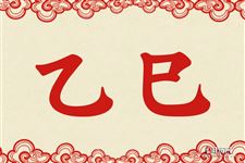 乙巳是什么意思 乙巳的意思详解