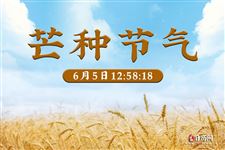 芒种(每年6月5日-7日)