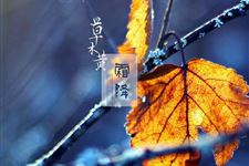 霜降(每年10月22日-24日)