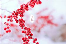 立冬(每年11月7日-8日)