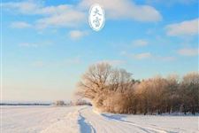 大雪(每年12月6日-8日)