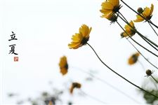 7.立夏的来历,立夏的由来