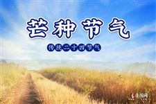 2.芒种是什么意思:仲夏时节的正式开始
