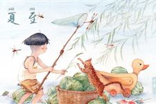 5.夏至短信,夏至问候短信句子大全