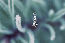 1.立冬是几月几日,2018年立冬是什么时候