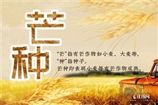 6.芒种由来是什么,芒种是怎么来的