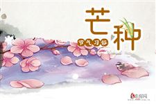8.芒种节气有什么习俗,芒种都有哪些风俗