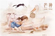 10.关于芒种的作文,24节气芒种作文