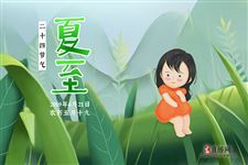 9.夏至的由来,关于夏至的来历是什么