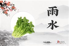 5.雨水节气吃什么,雨水节气适合吃什么