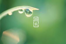 11.关于雨水的谚语有哪些,关于雨水的谚语