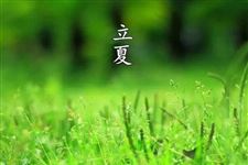 立夏是几月几日,2019年立夏是什么时候