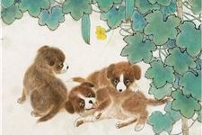 属狗的今年多大,属狗的2018年多大了