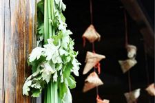 35.端午节艾草,端午节为什么插艾草