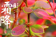 霜降一般出现在哪个季节