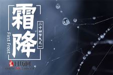 霜降节气如何钓鲫鱼