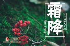霜降种什么农作物