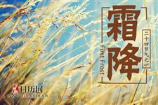 秋分和霜降的区别