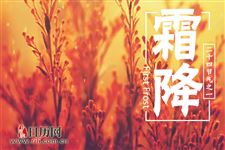 霜降后可以种大蒜吗