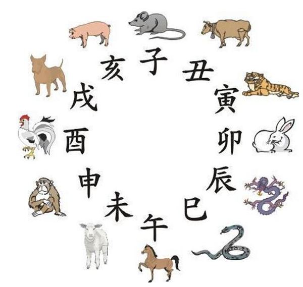 寅虎卯兔,卯兔图片,卯兔怎么画(第2页)_大山谷图库