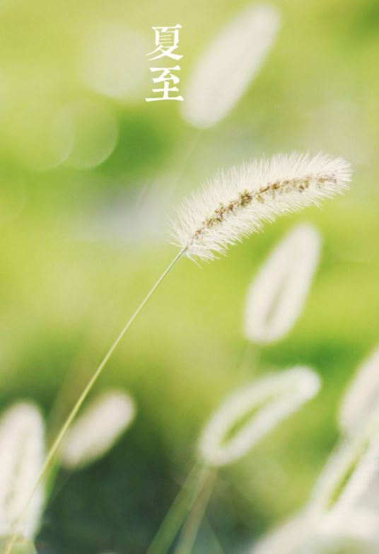 夏至节气图片,夏至图片大全 夏至节气图片,夏至图片大全