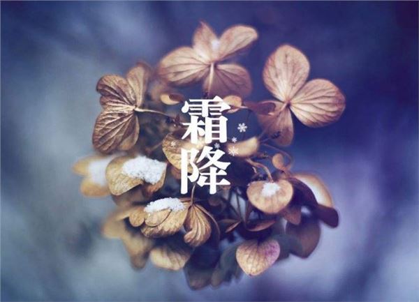 霜降图片,关于霜降节气的图片 霜降图片,关于霜降节气的图片