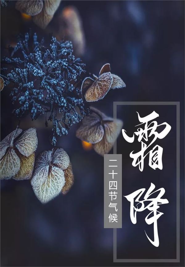 霜降图片,关于霜降节气的图片 霜降图片,关于霜降节气的图片