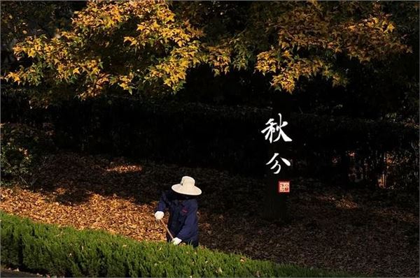 秋分图片,关于秋分节气的图片 秋分图片,关于秋分节气的图片