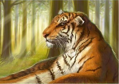 世界爱虎日(每年7月29日) 世界爱虎日(每年7月29日)